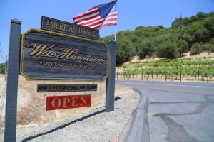 William-Harrison-Vineyards-Winery (2)