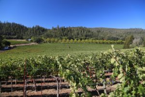 andersons-conn-valley-napa (3)