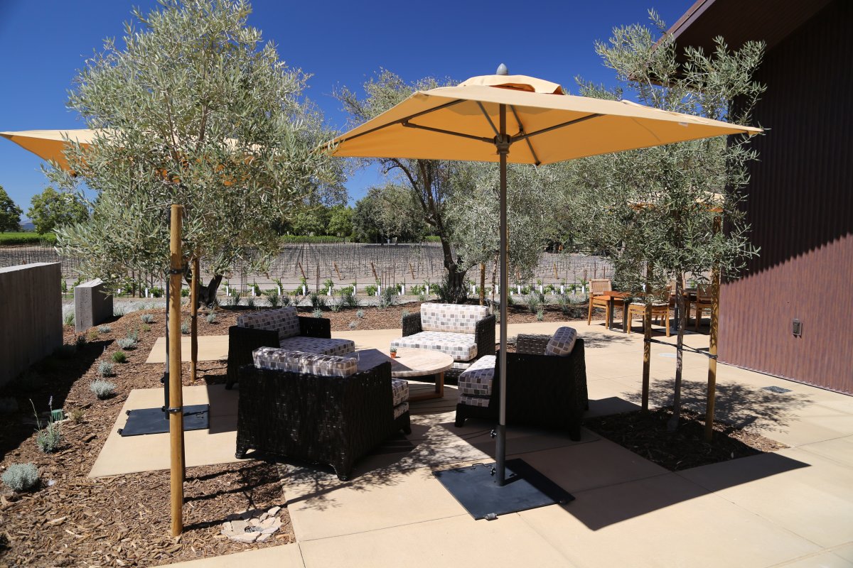 B Cellars The Napa Wine Project