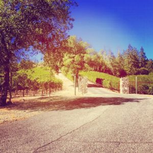 juslyn-vineyards (1)