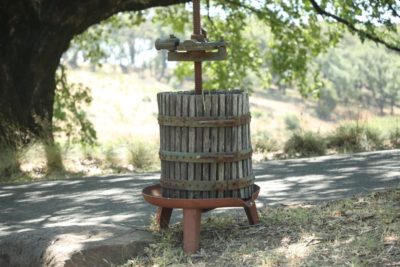 Kongsgaard Wine