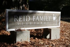Reid-Family-Winery (6)