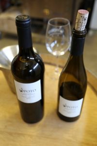 spoto-wines-napa (2)