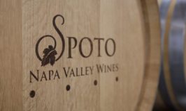 Spoto Wines