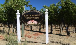 Kelly Family Vineyards