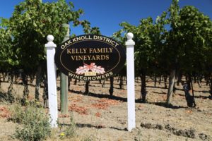 Kelly-Family-Vineyard (1)