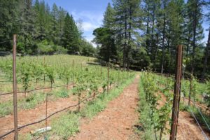 Round-Two-Wines (1)