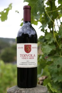 Toivola-Vineyards (1)