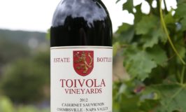 Toivola Vineyards