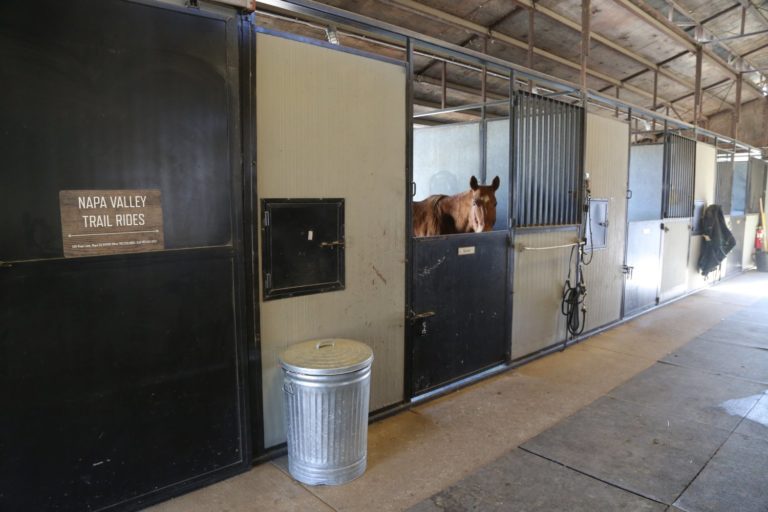 Shadybrook Estate Winery The Napa Wine Project