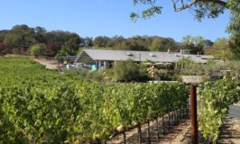 Shadybrook Estate Winery