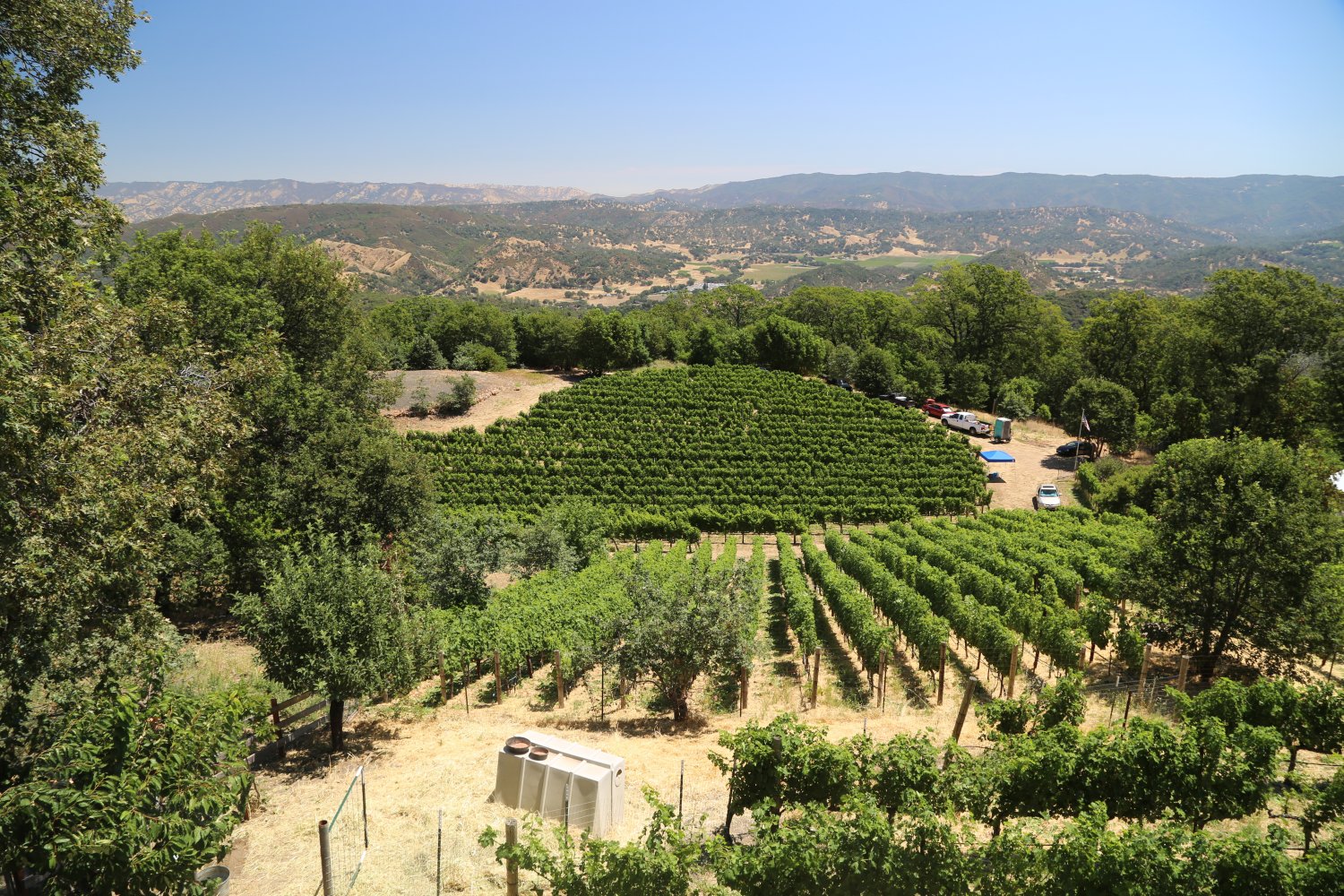The 2009 Napa Valley Cabernets At Age 10 (Jul 2019) Vinous, 40% OFF