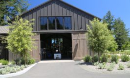 Theorem Vineyards