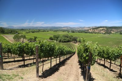 Vine Hill Ranch
