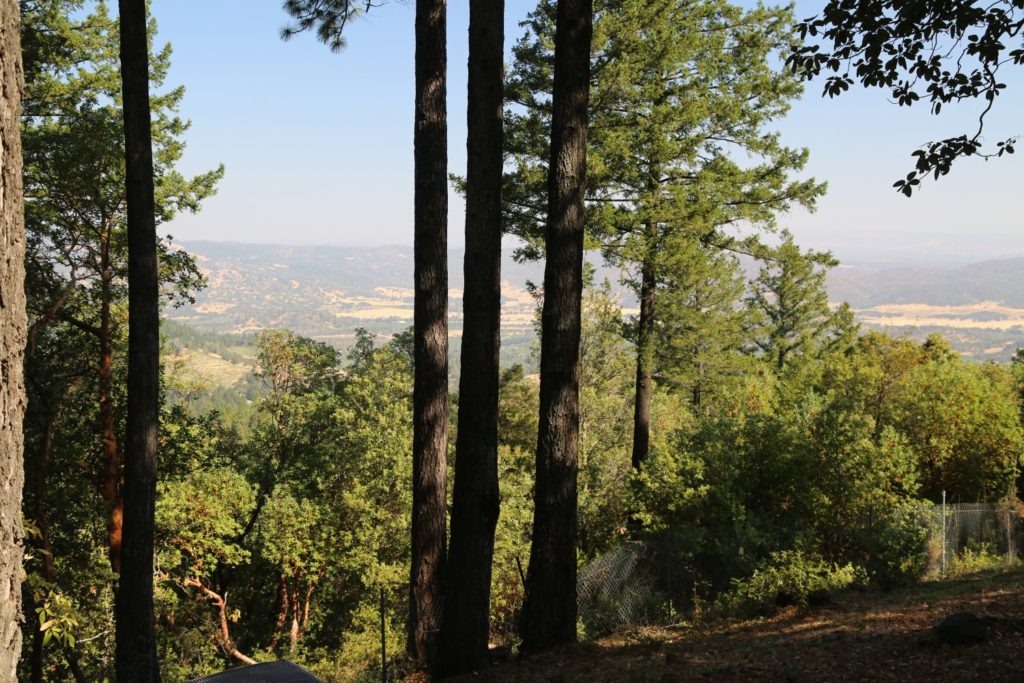 Angwin County Angwin Estate Vineyards - The Napa Wine Project
