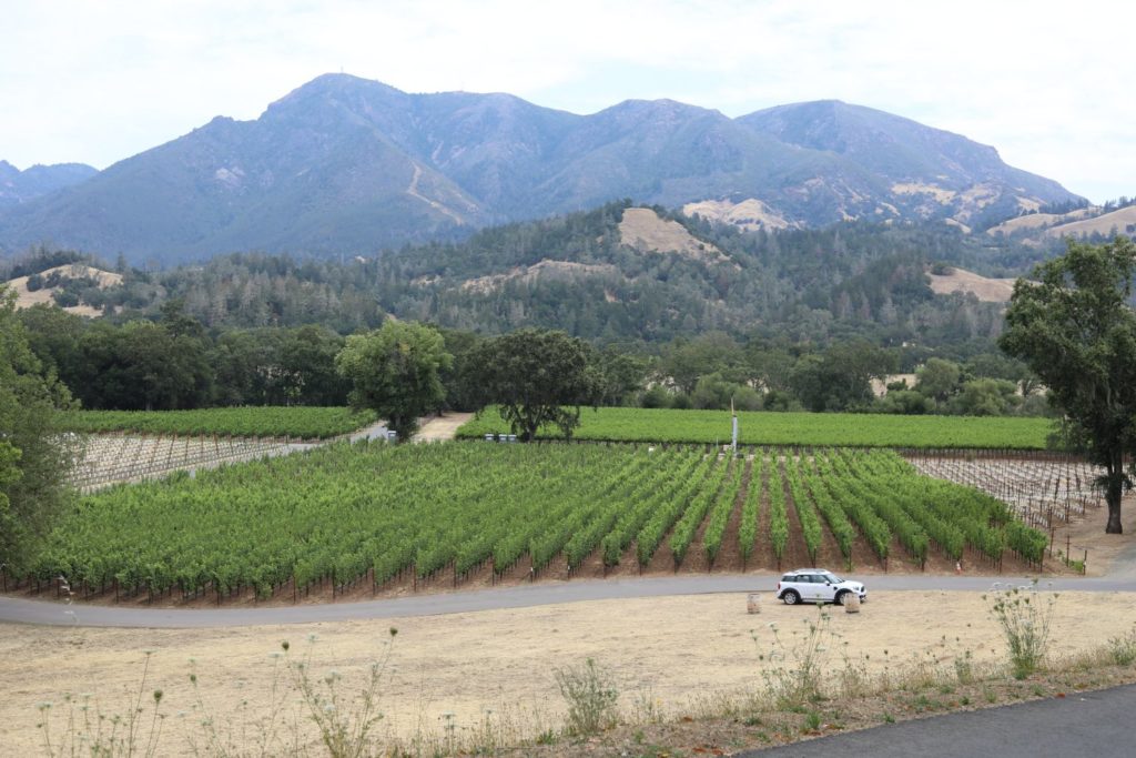 Knights Bridge Winery - The Napa Wine Project