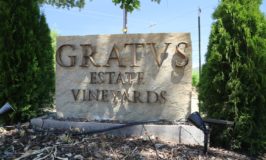 Gratus Vineyards