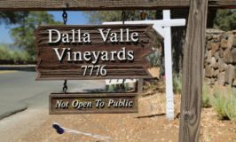 Dalla Valle Vineyards