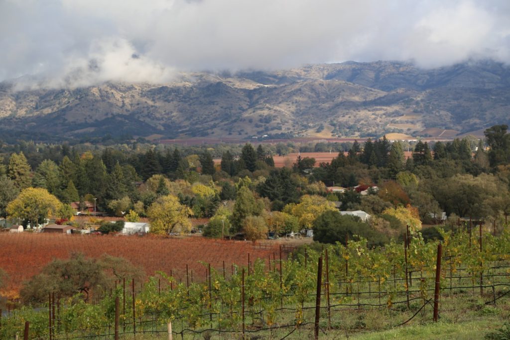 Hunter Glenn Estate The Napa Wine Project