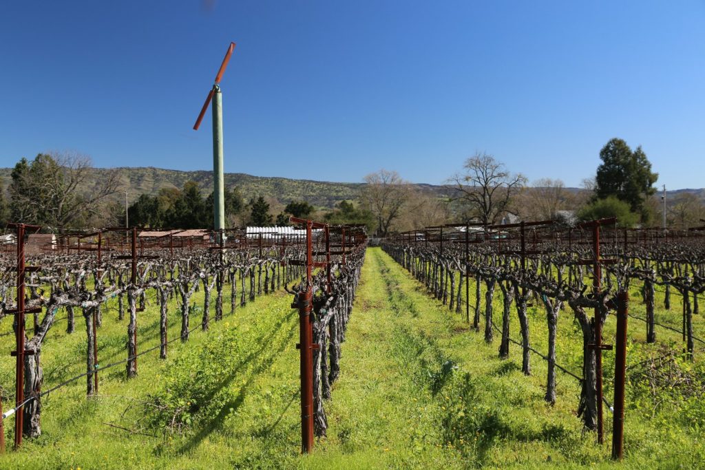 Hunter Glenn Estate The Napa Wine Project