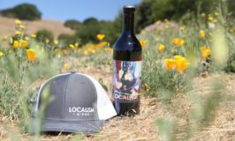 LOCALISM WINES