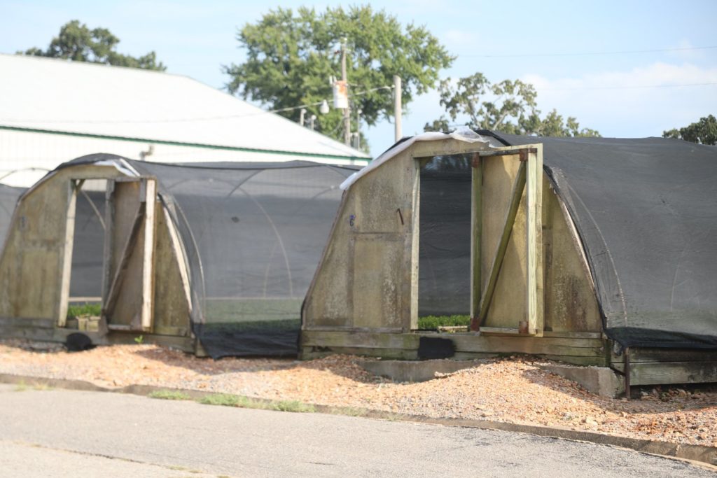 Far Niente Winery The Napa Wine Project