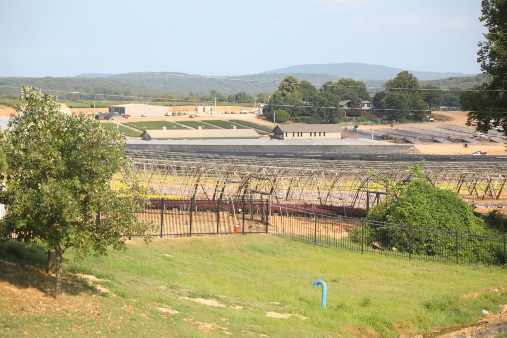 Far Niente Winery The Napa Wine Project