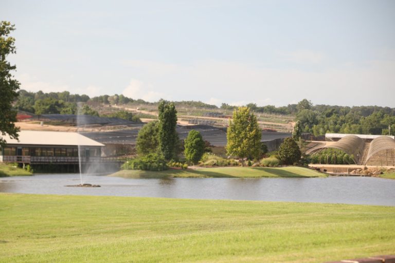 The Vineyard House The Napa Wine Project