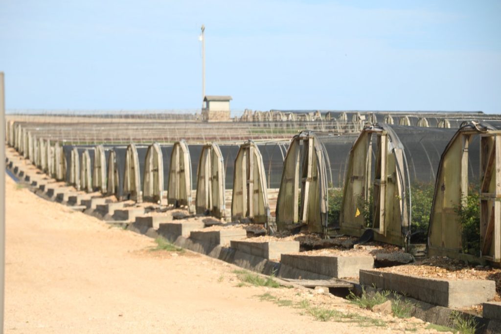 The Vineyard House The Napa Wine Project