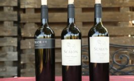 Scalon Cellars