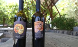 Sova Wines