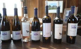 Sleeping Giant Winery