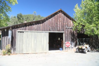 Palisades Vineyard