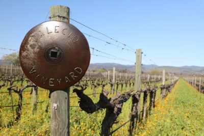 Dalecio Family Wines