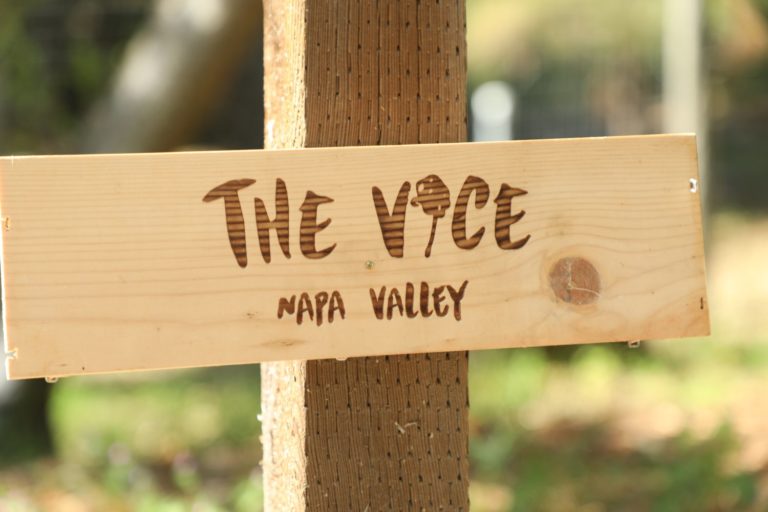 The Vice Wine The Napa Wine Project