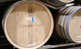 Greater Fool Wine
