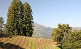 Aspire Wine