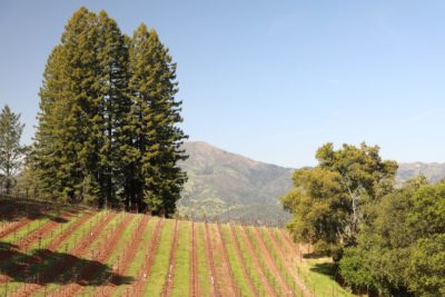 Aspire Wine