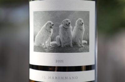 Quantum Limit Vineyards