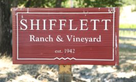 Shifflett Ranch and Vineyard