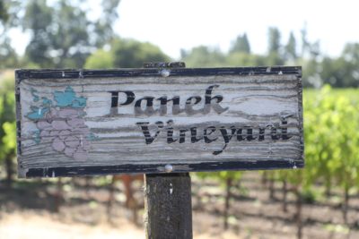 Panek Vineyards