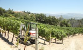 Aadland Moody Vineyards