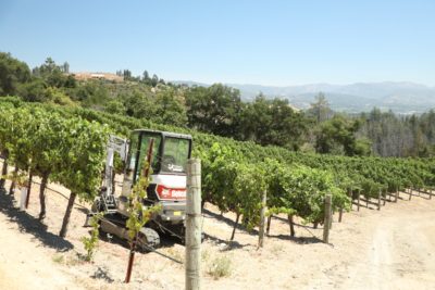 Aadland Moody Vineyards