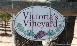 JOVIAH Wines