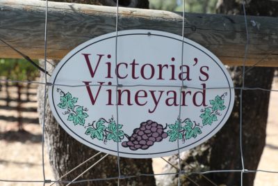 JOVIAH Wines