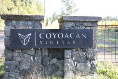 Coyoacan Vineyards