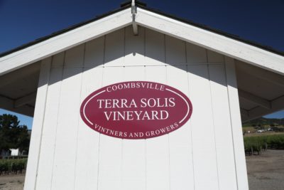 Terra Solis Vineyard
