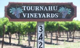 Alioto‑Tournahu Wines