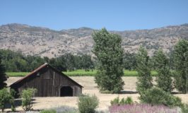 KHK Wines