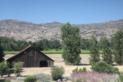 KHK Wines